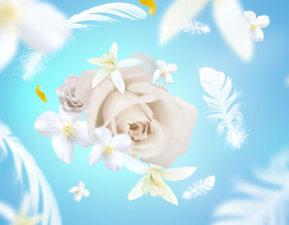 -Parfum de Maison-, Délicat Musc Blanc/Delicate White Musc 500ml